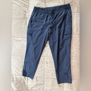 The North Face Never Stop Wearing Cargo Pants Womens Size XXL Hiking Outdoor